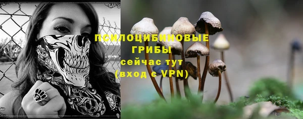 a pvp Алексин
