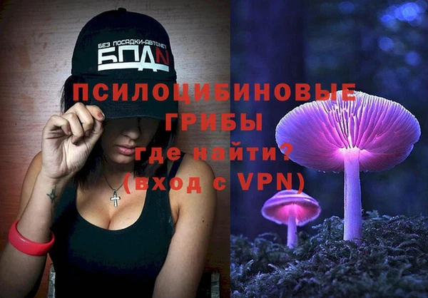 a pvp Алексин