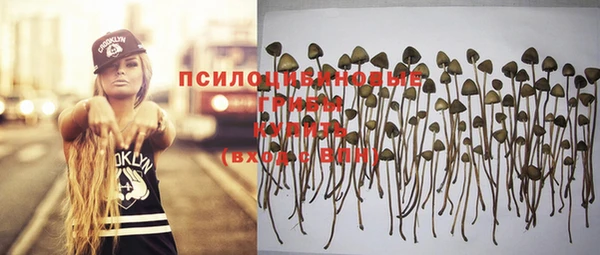 a pvp Алексин