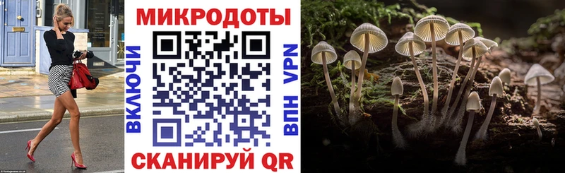 Галлюциногенные грибы Psilocybe  ОМГ ОМГ рабочий сайт  Кондопога 